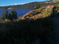 Insel Suasi