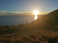 Insel Suasi