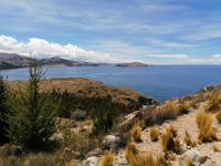 Insel Suasi