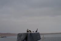 Islas Ballestas