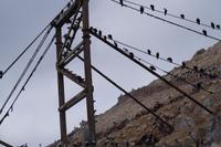 Islas Ballestas