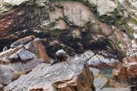 Islas Ballestas