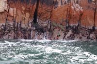 Islas Ballestas