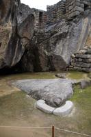 Kondor, Machu Picchu