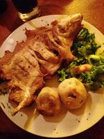 Meerschweinchen