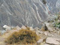 Mirador Cruz del Condor