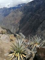 Mirador Cruz del Condor