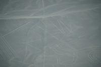 Nazca: Der Affe