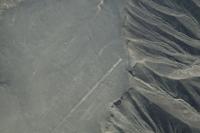Nazca: Der Kolibri