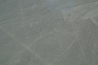 Nazca: Der Kondor