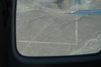 Nazca: Der Wal