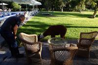Near the pool