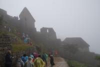 Nebel in Machu Picchu