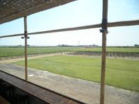 Pisco Brennerei