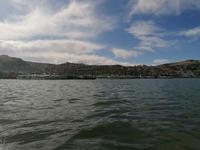 Puno