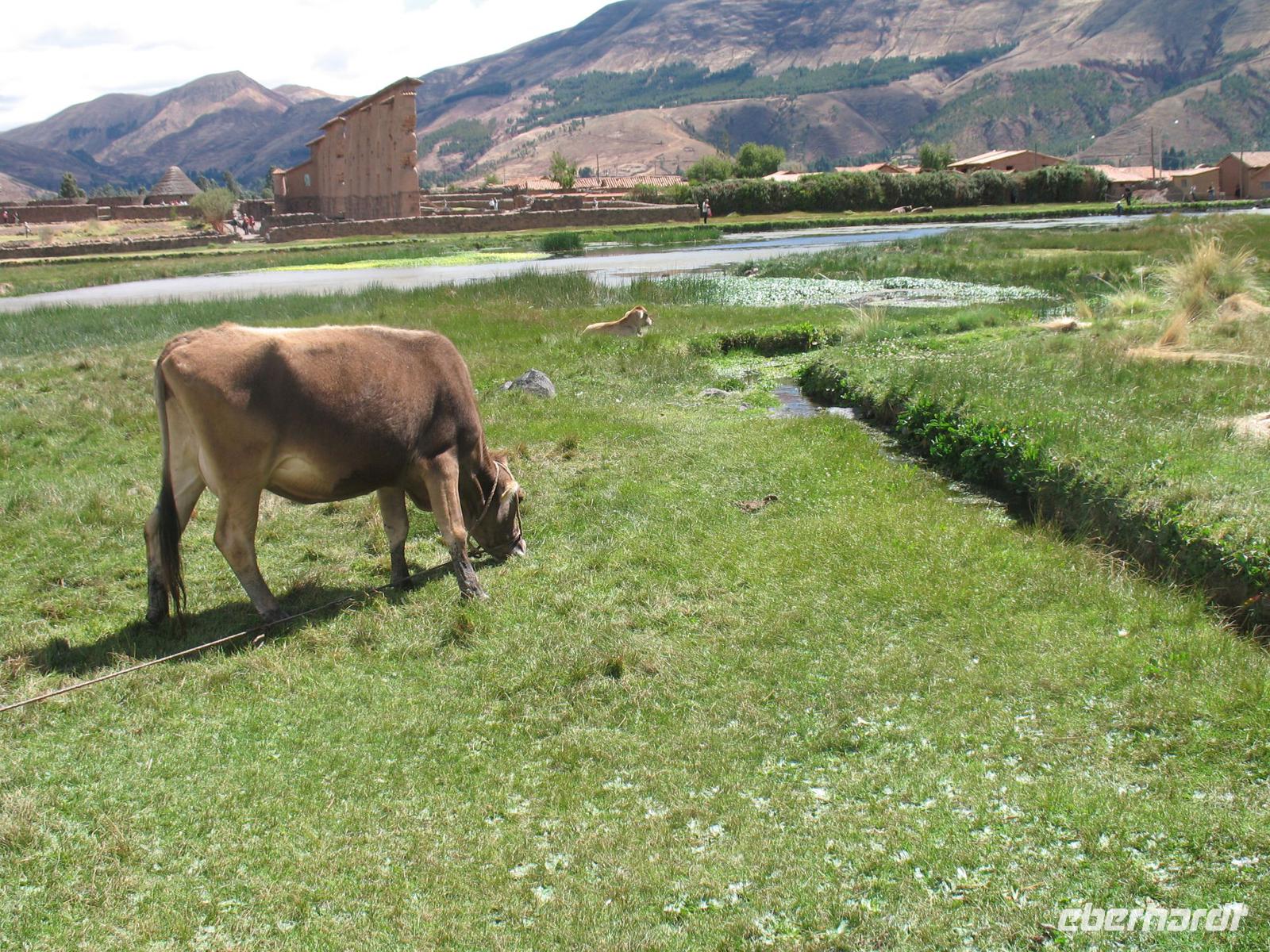 Raqchi