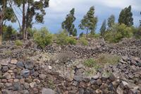 Ruinenfeld Raqchi