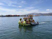 Schilfboot