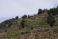 Taquile Insel