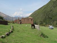 Tarawasi