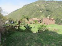 Tarawasi