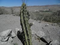 Unterwegs in Peru