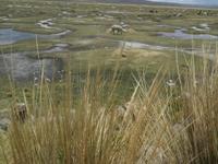 Unterwegs in Peru