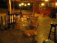 Vicuna im Hotel