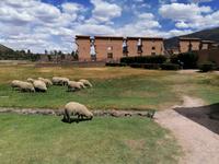 Viracocha Tempel