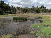 Viracocha Tempel