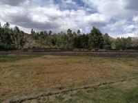 Viracocha Tempel