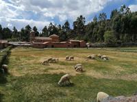 Viracocha Tempel