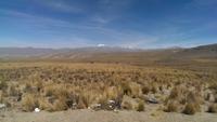 Von Arequipa ins Colca Tal