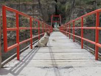 Wanderung Uyu Uyu 