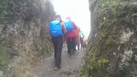 Wanderung durch den Nebelwald