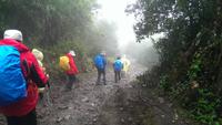 Wanderung durch den Nebelwald
