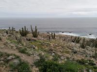 Weg nach Arequipa