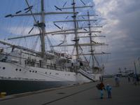 Gdynia, Hafen das aktuelle Segelschulschiff hat festgemacht
