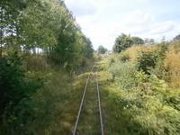 Fahrt durch die sog. Buckelmasuren