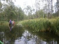 Natur pur beim Staaken