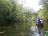 fast unberührte Natur