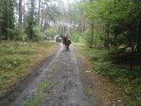 Auf dem Weg zur Bauernhochzeit