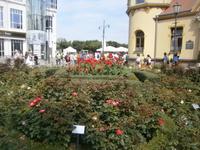 Schöne Gestaltung des Kurzentrums