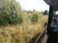 Wildromantische Natur