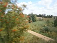 Boten des nahenden Herbstes