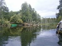 fast unberührte Natur auf unserer Fahrt