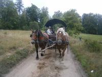 Vom Schiff auf den Pferdewagen