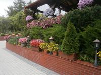 Wiederum schöner Blumenschmuck