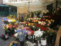 Eine große Auswahl an Blumen