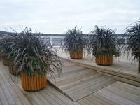 Die Mole neu gestaltet